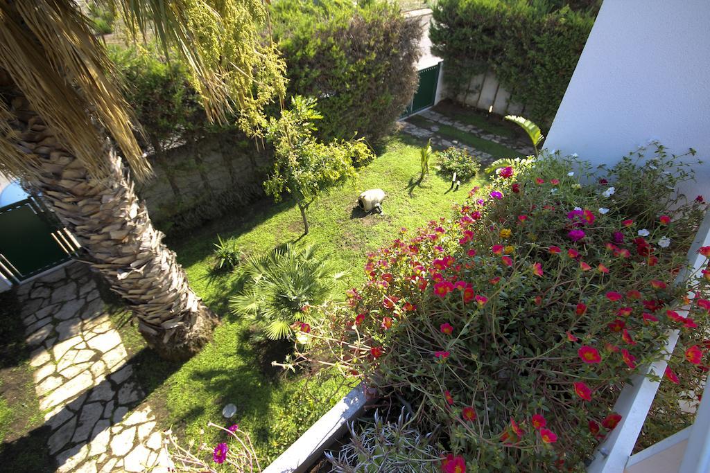 B&B Villa Genny A Pochi Passi Dal Mare San Cataldo (Apulia) Quarto foto
